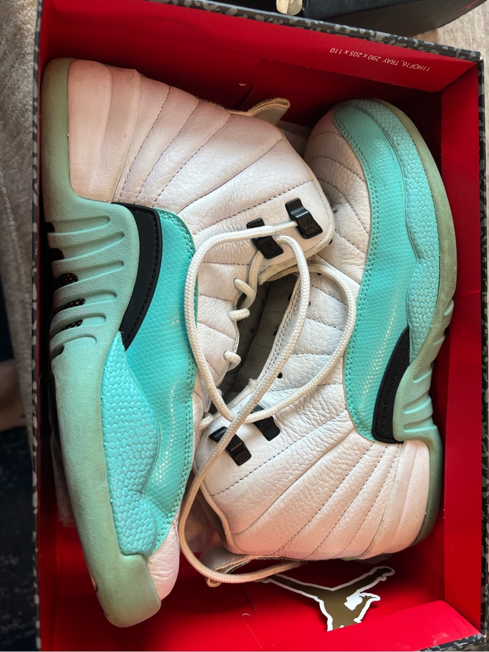 Nike Air Jordan